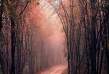 400选号是什么意思啊怎么用英语说一下,400选号大厅