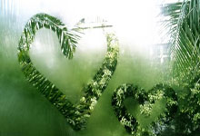 400资费套餐明细怎么查不到了呢苹果,苹果手机套餐用量不显示了