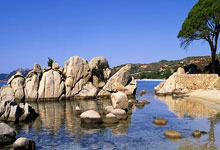 400资费套餐明细怎么查不到了呢苹果,苹果手机套餐用量不显示了