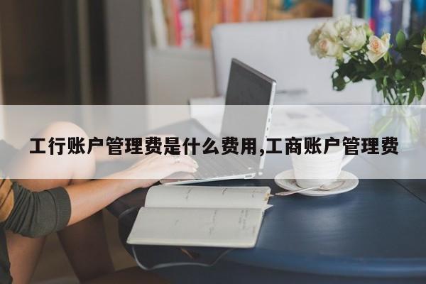 工行账户管理费是什么费用,工商账户管理费
